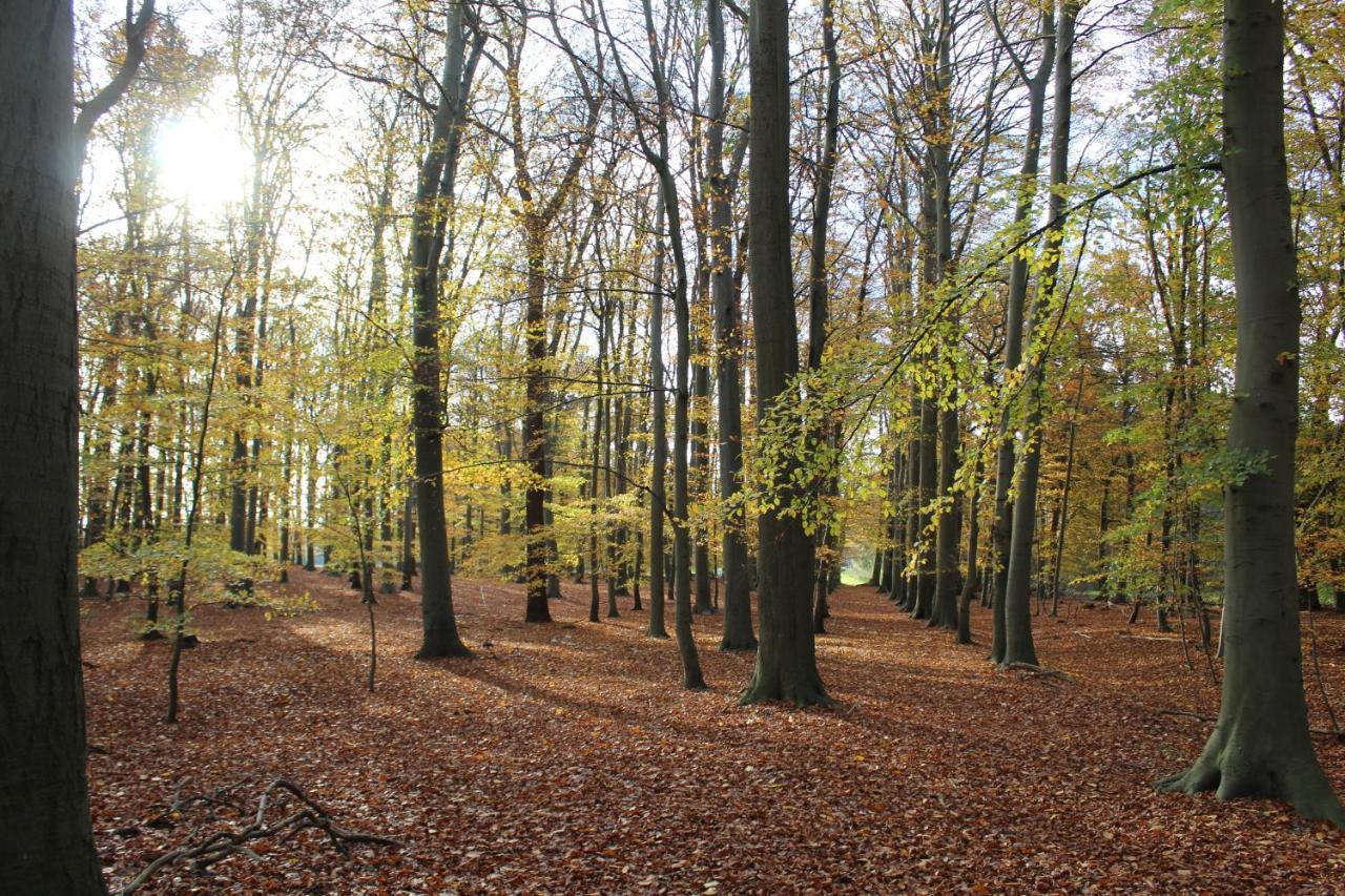 Ferienhaus Auf Gut Sautmannshausen Haselünne Exteriér fotografie