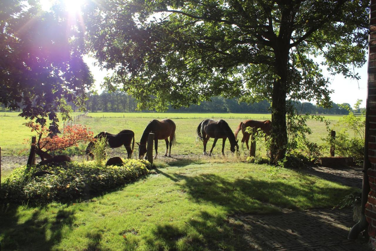 Ferienhaus Auf Gut Sautmannshausen Haselünne Exteriér fotografie